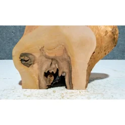 Biete hier eine halbe Baumscheibe, Holzscheibe gestockte Erle an