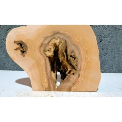 Biete hier eine halbe Baumscheibe, Holzscheibe gestockte Erle an