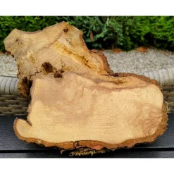 Bruchstück,Baumscheibe, Holzscheibe,Gestockt,Erle,Holz, Bastelholz, Holzdeko, Dekoration,Holz