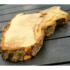 Bruchstück,Baumscheibe, Holzscheibe,Gestockt,Erle,Holz, Bastelholz, Holzdeko, Dekoration,Holz