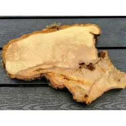 Bruchstück,Baumscheibe, Holzscheibe,Gestockt,Erle,Holz, Bastelholz, Holzdeko, Dekoration,Holz