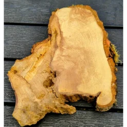 Bruchstück,Baumscheibe, Holzscheibe,Gestockt,Erle,Holz, Bastelholz, Holzdeko, Dekoration,Holz