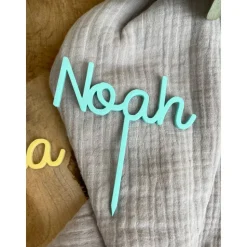 Caketopper personalisiert mit Name / Kuchendeko aus Acryl Geburtstag / Cake Topper