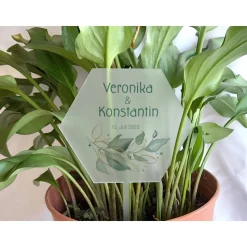 Caketopper Pflanzenstecker Acryl Holz Salbei rund