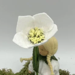 Christrose - Jahreszeitentisch  - Winter - Blumenkinder - Weihnachtsdeko