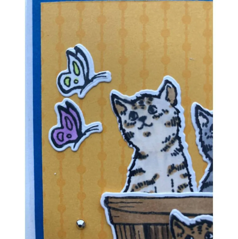 3D Geburtstagskarte mit Katzen und Schmetterlingen