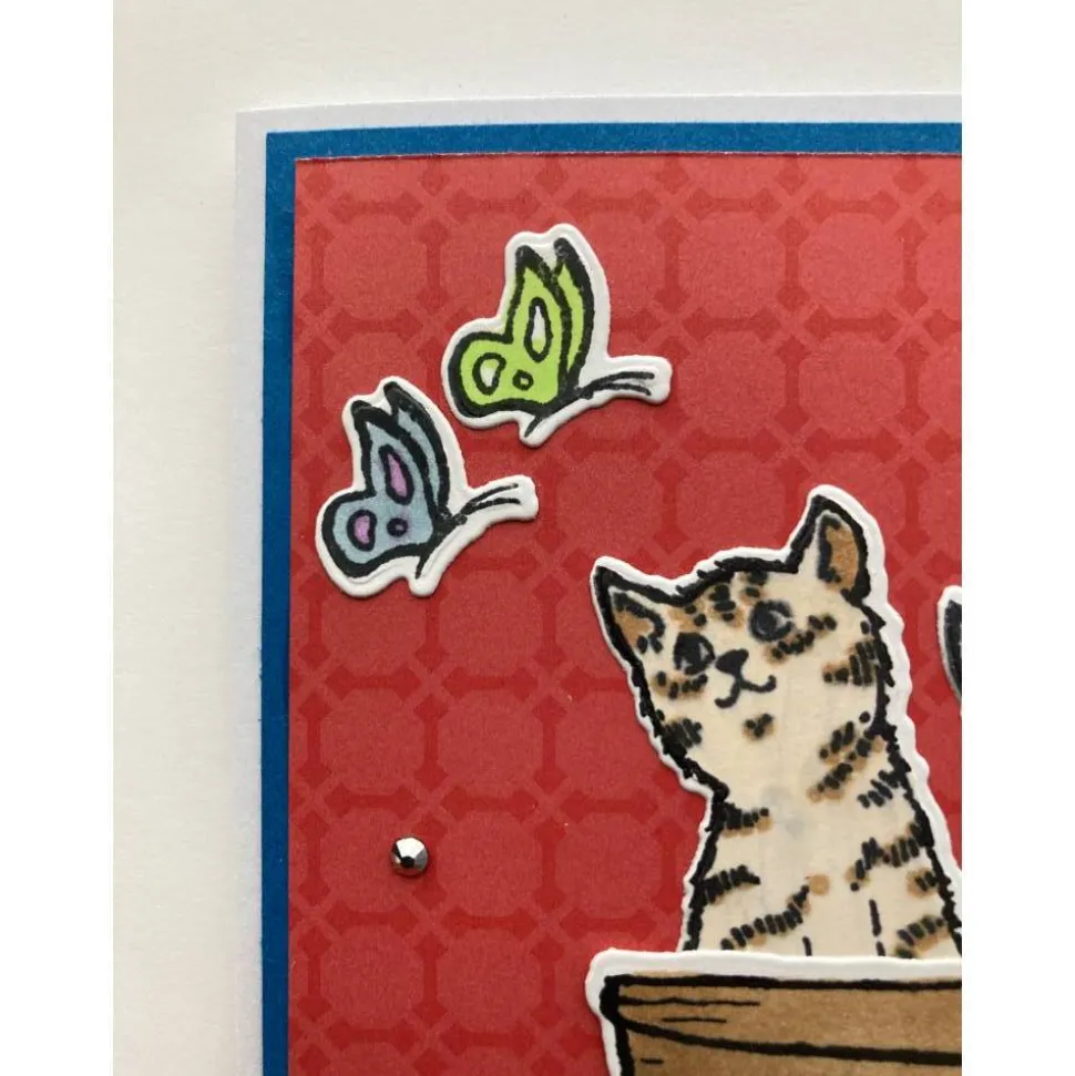 3D Geburtstagskarte mit Katzen und Schmetterlingen