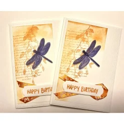 3D Geburtstagskarte  mit Libelle Orange/ Blau Handgefertigt mit Stampin'Up! Unikat