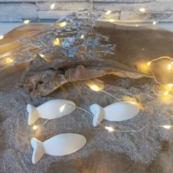 Deko Fische, Fisch mit Namen, Fisch Raysin, Fische Raysin, Fisch Kommunion Raysin, Konfirmation Deko, Raysin Fische