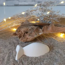 Deko Fische, Fisch mit Namen, Fisch Raysin, Fische Raysin, Fisch Kommunion Raysin, Konfirmation Deko, Raysin Fische