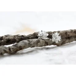 Edelweiß Ohrstecker, Silber