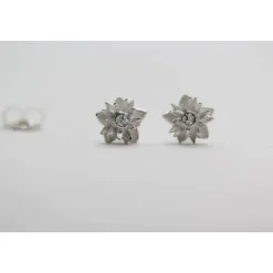 Edelweiß Ohrstecker, Silber