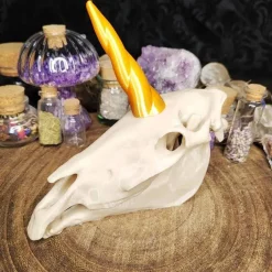 Einhornschädel Kuriositätenkabinett Pferdeanatomie