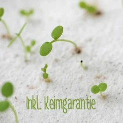 Einpflanzbare Kommunionskarte aus Samenpapier | nachhaltige Geschenke zur Kommunion | Grußkarte für Kommunionskinder