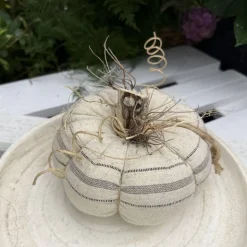 2er Set Kürbisse aus Baumwolle in Beige – Handgemachte Herbstdeko Landhausstil