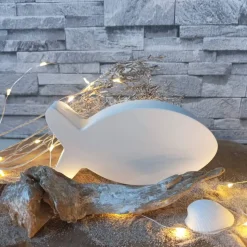 Fisch Deko aus Raysin – Maritime Eleganz für dein Zuhause & persönliche Geschenke