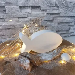 Fisch Deko aus Raysin – Maritime Eleganz für dein Zuhause & persönliche Geschenke