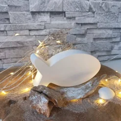 Fisch Deko aus Raysin – Maritime Eleganz für dein Zuhause & persönliche Geschenke