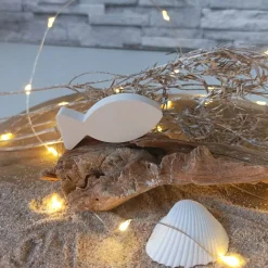 Fische Deko, Fisch mit Namen, Fisch Raysin, Fische Raysin, Fisch Kommunion Raysin, Konfirmation Deko, Raysin Fische