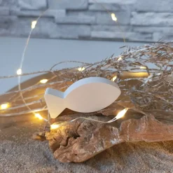 Fische Deko, Fisch mit Namen, Fisch Raysin, Fische Raysin, Fisch Kommunion Raysin, Konfirmation Deko, Raysin Fische