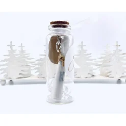 Flaschenpost Geschenk Erzieherin Weihnachten