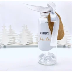 Flaschenpost Schwester Geschenk für Weihnachten, Karte, beste Schwester der Welt