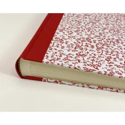 Fotoalbum *Kirschblütenzweige rot*