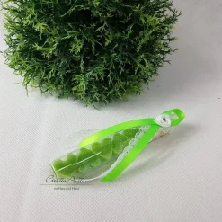 Gastgeschenk mit 5 Seifenherzen i. Reagenzglas GRÜN - APFEL