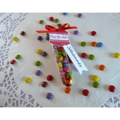 Gastgeschenk/Platzkarte zur Einschulung / Reagenzröhrchen befüllt mit Schokolinsen und Namensanhänger