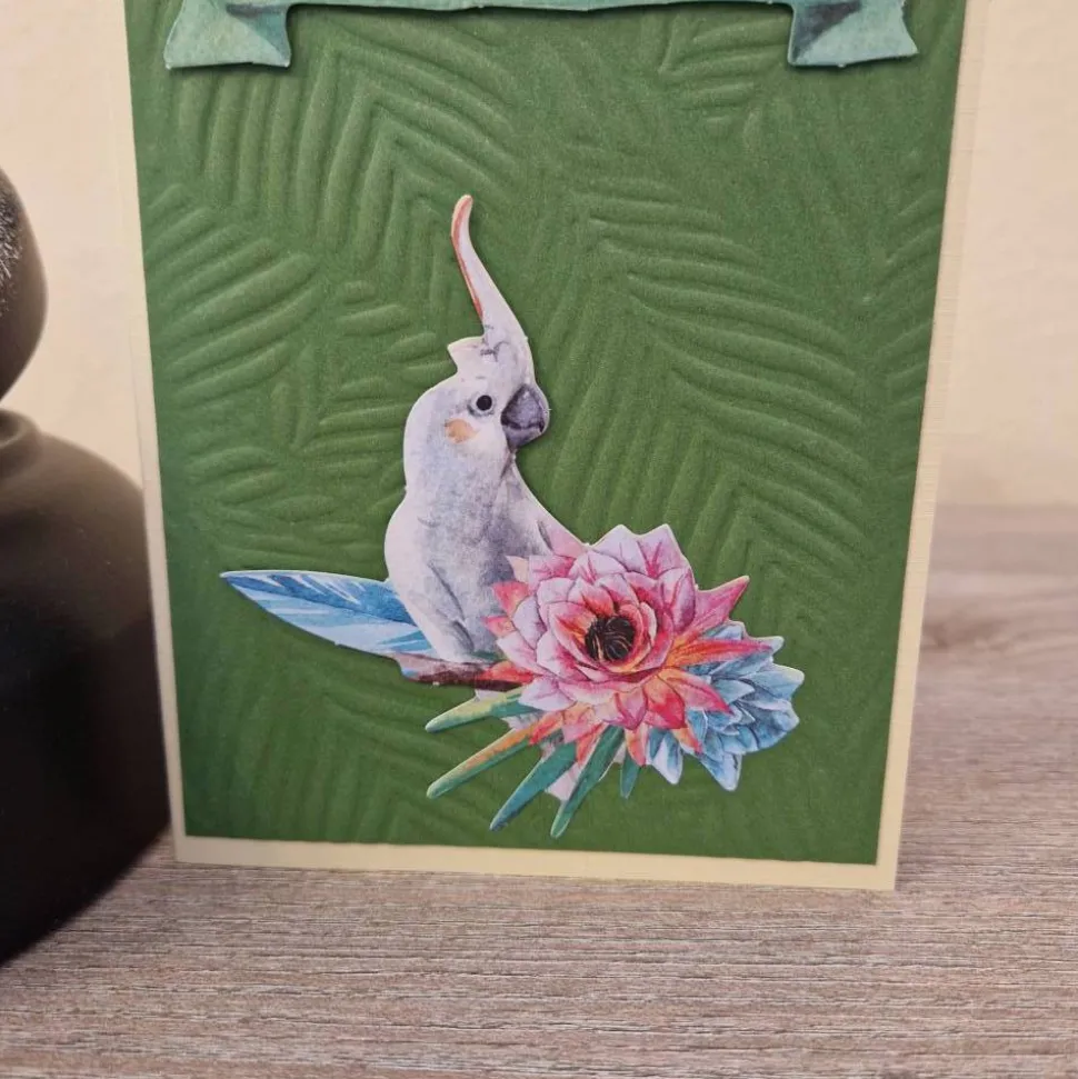 Geburtstagskarte / Papagei / Wald / Papagei Geburtstagsmotiv / Geburtstagskarte mit Papagei / Papagei Geburtstagskarte