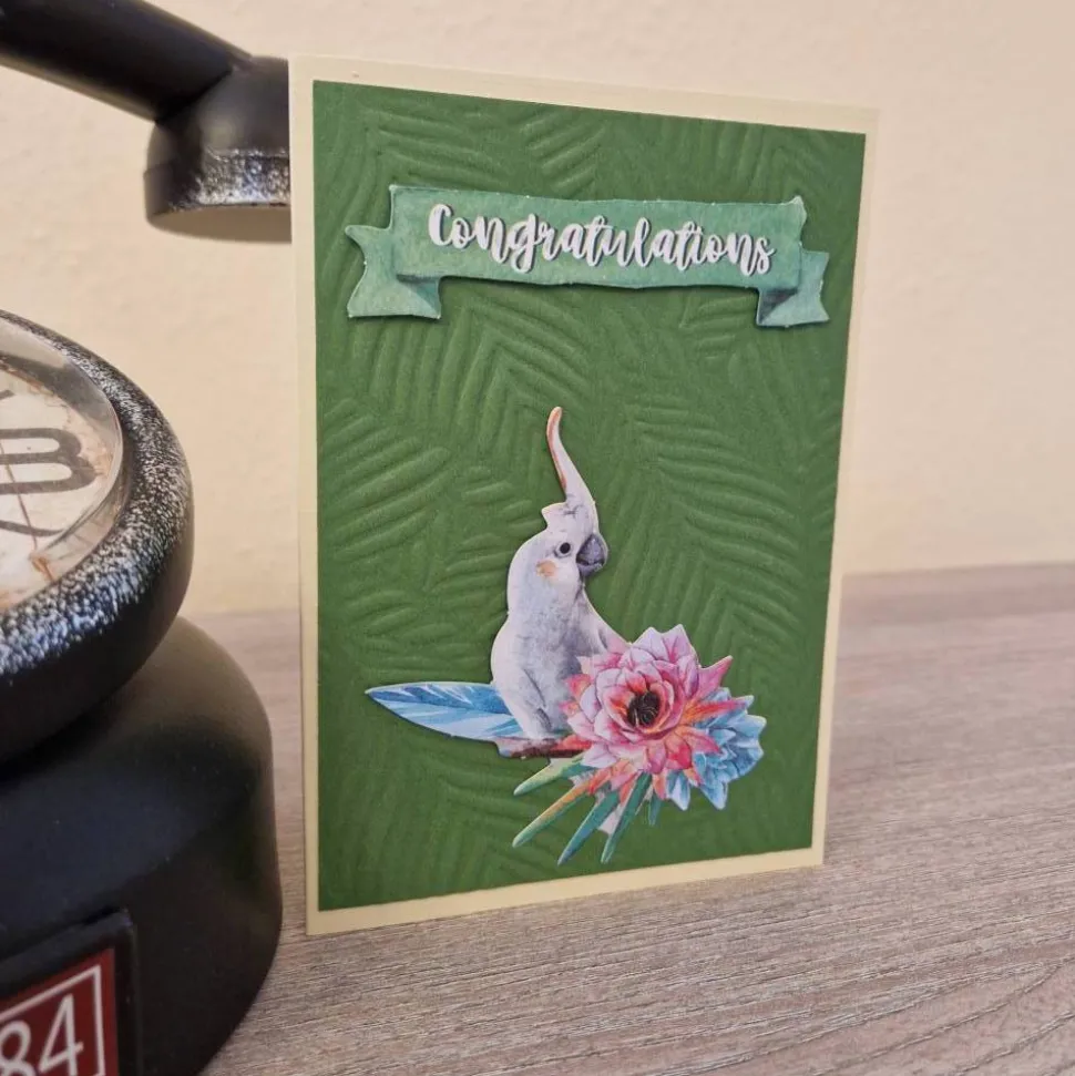 Geburtstagskarte / Papagei / Wald / Papagei Geburtstagsmotiv / Geburtstagskarte mit Papagei / Papagei Geburtstagskarte