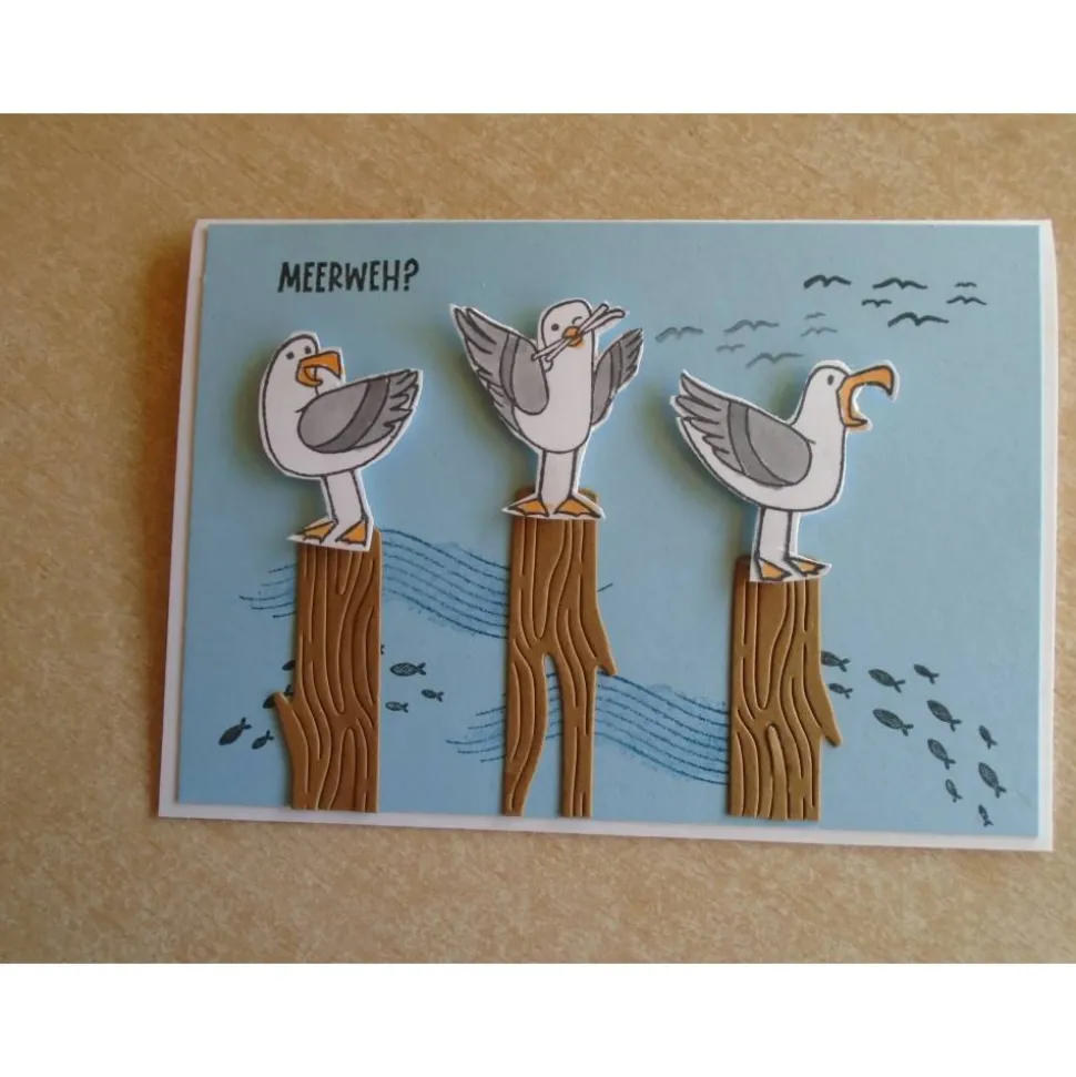 Geburtstagskarte Glückwunschkarte Seemöwen Maritim Geburtstag  Grußkarte