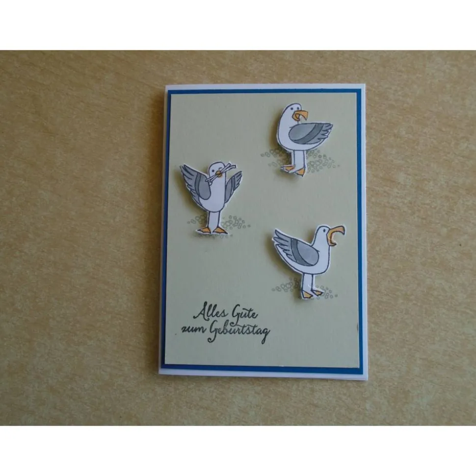 Geburtstagskarte Glückwunschkarte Seemöwen Maritim Geburtstag  Grußkarte
