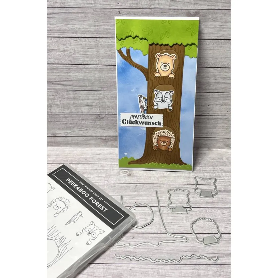 Geburtstagskarten „Herzlichen Glückwunsch“ Glückwunschkarten Grußkarten Karten Kinder Waldtiere Tiere Bär Waschbär Igel