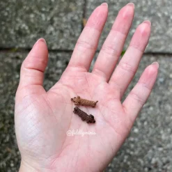 Gehäkelter Miniatur Dackel - Perfektes Geschenk für Hundebesitzer und Hundeliebhaber