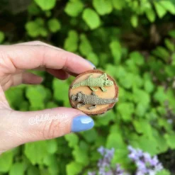 Gehäkeltes Mini Krokodil (microcrochet)