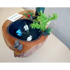 Geldgeschenk - Angler Angeln Angeltörn Fischen - Geburtstag - dekoriert auf einer Kokosnussschale