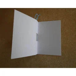 Geldgeschenk  Konfirmation,Junge, Reagenzglas ,Verpackung ,Geldverpackung Wunscherfüller,Konfirmation,Blau