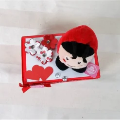 Geldgeschenk Marienkäfer, Glückskäfer, lustig, Geburtstagsgeschenk