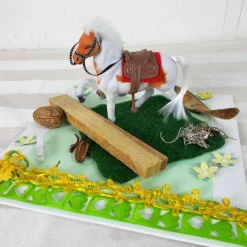 Geldgeschenk Pferd, Reiter, Reitsport, reiten, Geburtstagsgeschenk