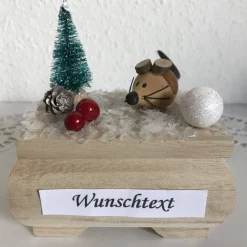 Geldgeschenk Weihnachten Geburtstag Nikolaus Weihnachtsgeschenk Ski fahren Geld verschenken Winterlandschaft Schnee