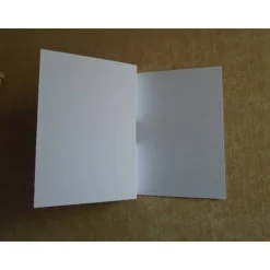 Geldgeschenk Weihnachten Wichtel Reagenzglas Geldverpackung Wunscherfüller Weihnachtsgeschenk Wichtelgeschenk