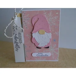 Geldgeschenk Weihnachten Wichtel Reagenzglas Geldverpackung Wunscherfüller Weihnachtsgeschenk Wichtelgeschenk