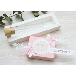 Geldgeschenk zur Geburt oder Taufe, Geschenkverpackung mit Reagenzglas