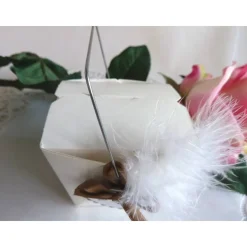 Geldgeschenkbox / Asiabox zur Hochzeit