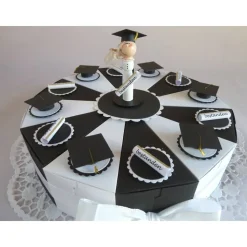 Geldgeschenk/Geldgeschenktorte/Schachteltorte zur Promotion/für eine Abiturientin, 27 cm Ø