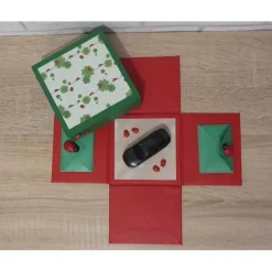 Geldgeschenkverpackung - Auto/Führerschein