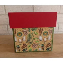 Geldgeschenkverpackung - Dinosaurier - T-Rex