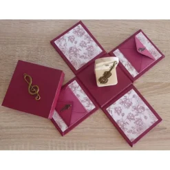 Geldgeschenkverpackung - Streichinstrument/Klassikkonzert