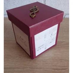 Geldgeschenkverpackung - Streichinstrument/Klassikkonzert